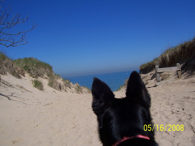 Indiana Dunes National Park
